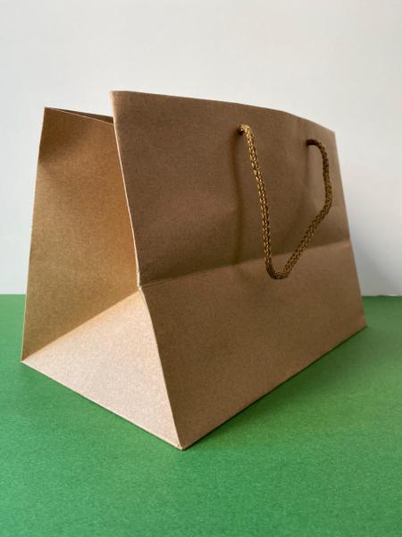 Kraft Karton İpli Alışveriş, Hediye Çantası,  22x45x33 Cm (10'lu Paket)
