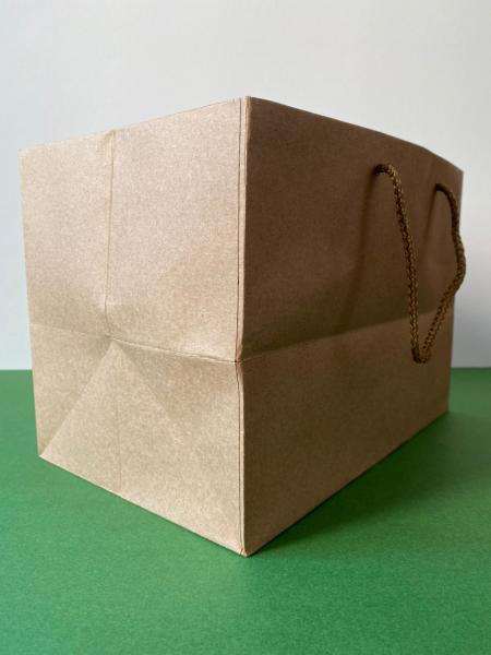 Kraft Karton İpli Alışveriş, Hediye Çantası,  22x45x33 Cm (10'lu Paket)