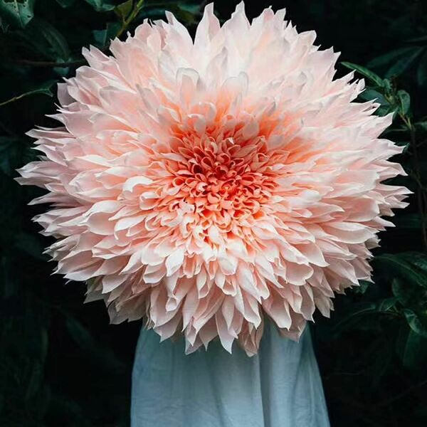 İtalyan Krapon Kağıdı No:548 - Kamelya Pembe - Camelia Pink 180 gr. 50X250 cm