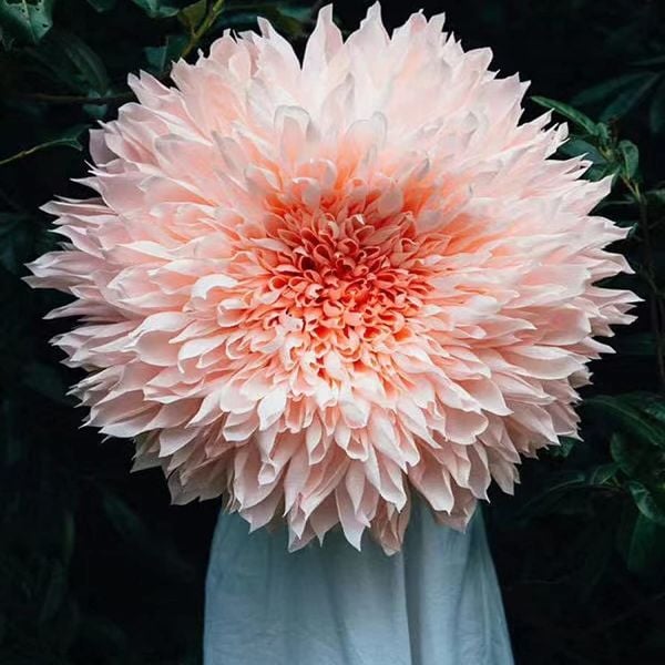İtalyan Krapon Kağıdı No:569 - Soft Pembe - Light Pink 180 gr. 50X250 cm