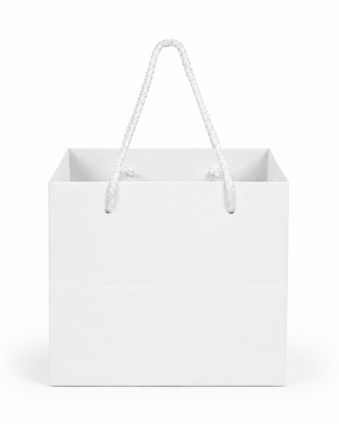 Yatay İpli Pasta Taşıma Karton Çanta 31 × 31 × 31 cm Beyaz - 10 Adet