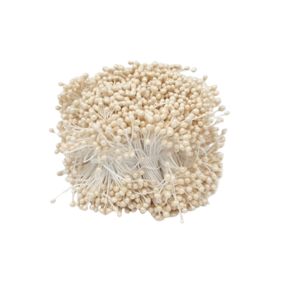 Klasik Plastik Tohum 20'li Bağ - Krem