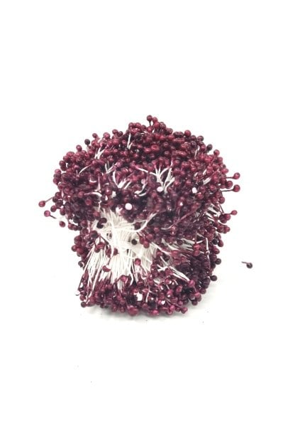 Klasik Plastik Tohum 20'li Bağ - Bordo