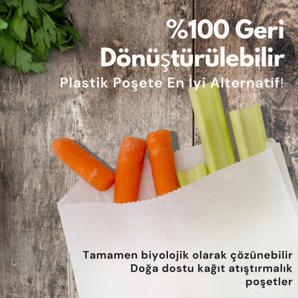 Kraft Körüklü Beyaz Yağlı Kese Kağıdı, V Taban Butik Hediye Paketi, Ambalaj Kağıt Poşeti, 50 Adet - 15x33 Cm