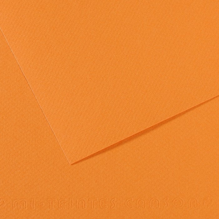 Canson MI-TIENTESS No:384 - Buff - 50x65 cm