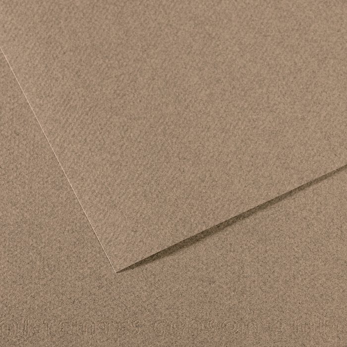 Canson MI-TIENTESS No:431 - Steel Grey - 50x65 cm