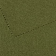 Canson MI-TIENTESS No:448 - Verde Mar - 50x65 cm