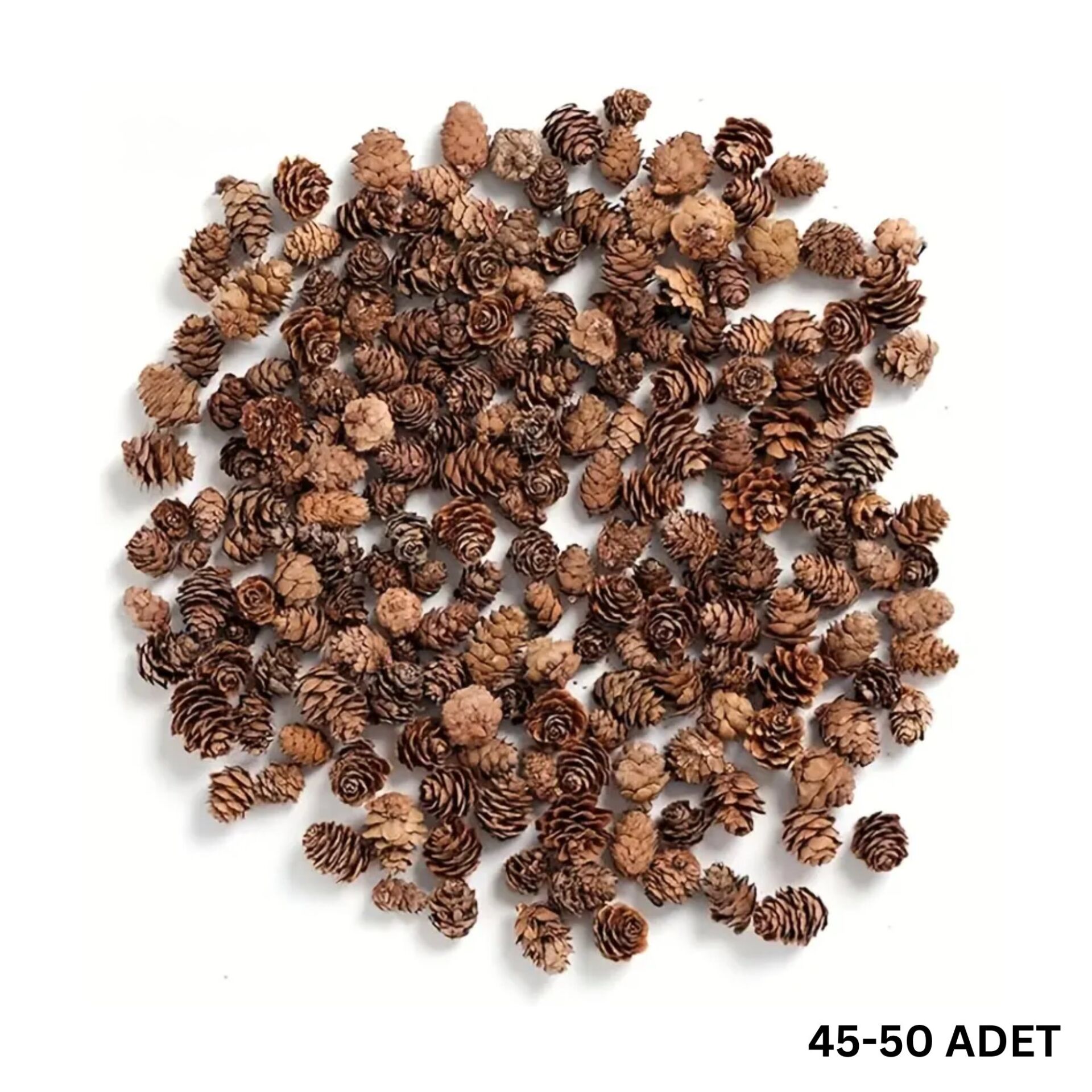 Doğal Kurutulmuş Çam Kozalak Seti-75 Gr, Hobi ve Yılbaşı Süsü, Hediye Paketleme, 45-50 Adet - 2-3 cm