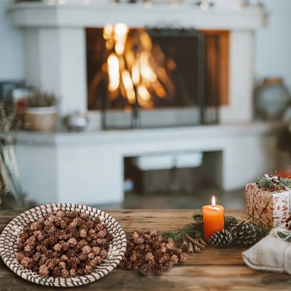 Doğal Kurutulmuş Çam Kozalak Seti-75 Gr, Hobi ve Yılbaşı Süsü, Hediye Paketleme, 45-50 Adet - 2-3 cm