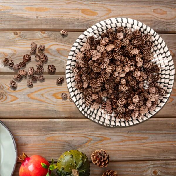 Doğal Kurutulmuş Çam Kozalak Seti-75 Gr, Hobi ve Yılbaşı Süsü, Hediye Paketleme, 45-50 Adet - 2-3 cm