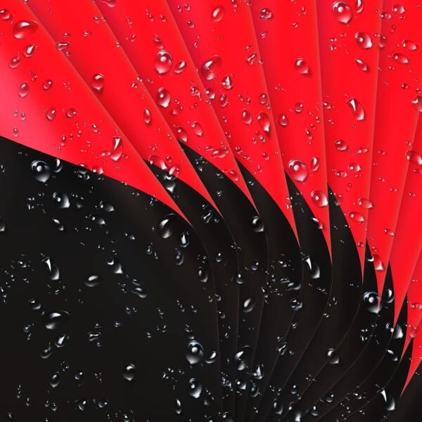 Çiçek Ambalaj Kağıdı 20li, Çift Yüzlü Mat Şeffaf Hediye Buket Sargı Kağıdı, Kırmızı & Siyah, 58x58 Cm