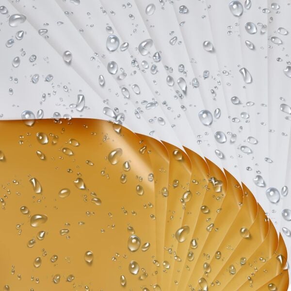 Çiçek Ambalaj Kağıdı 5li, Çift Yüzlü -Beyaz & Altın- Mat Şeffaf Hediye Buket Sargı Kağıdı, 58x58 Cm